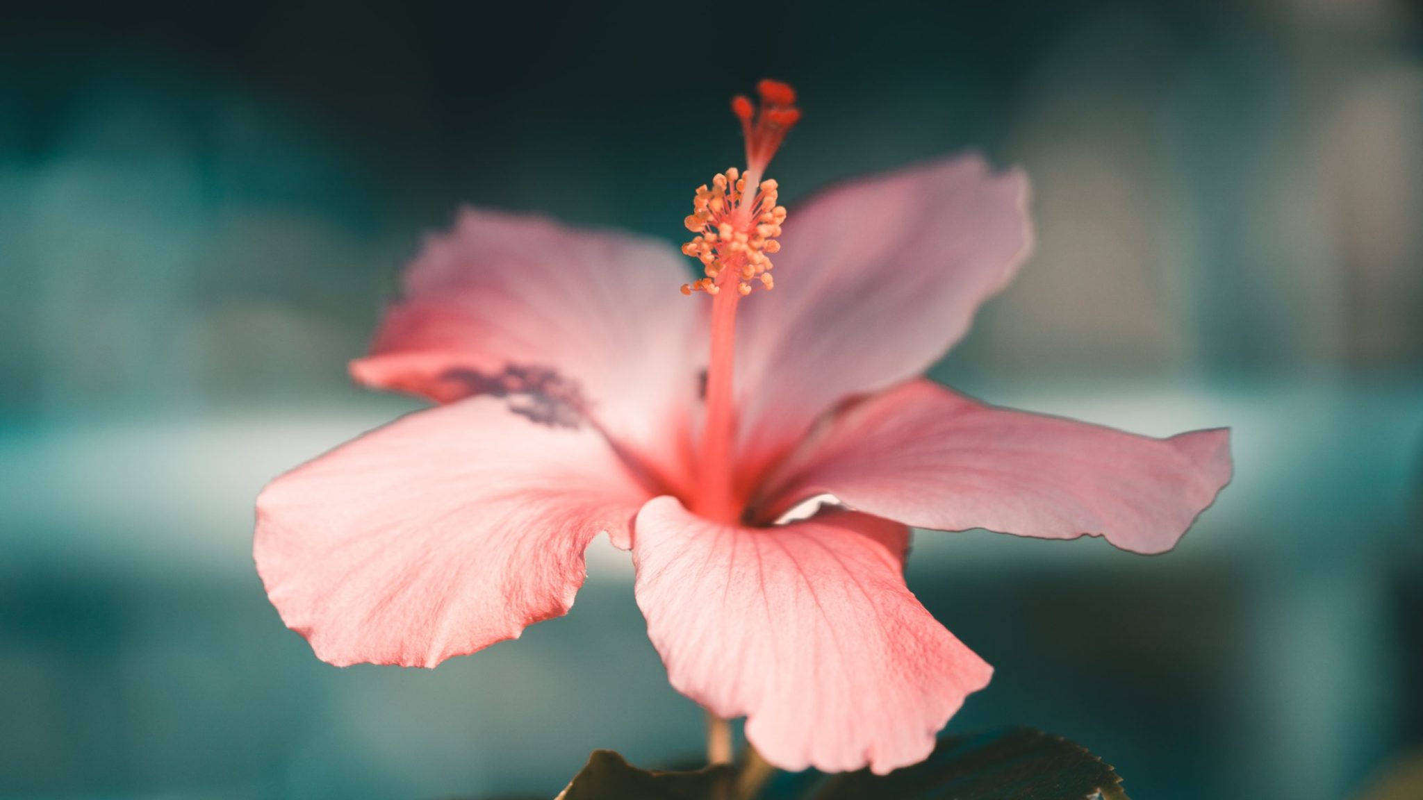 Home page center for spiritual living santa rosa